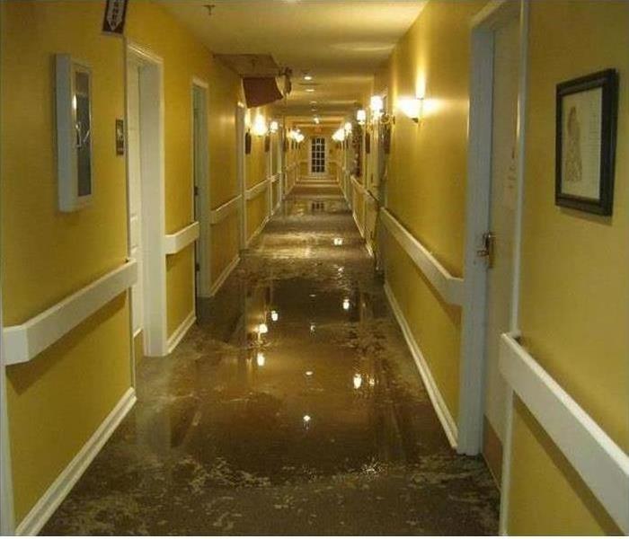 Commercial Water Damage hallways flooded from sprinkler head