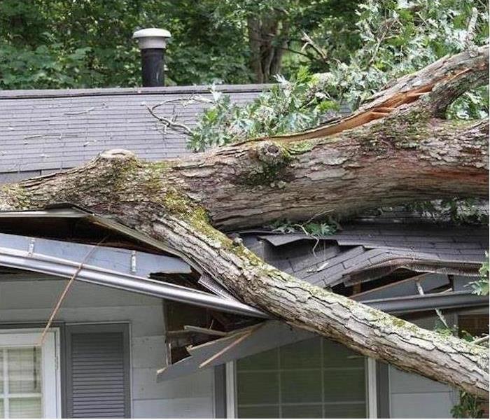 Storm Damage Helotes, TX Roof Damage 