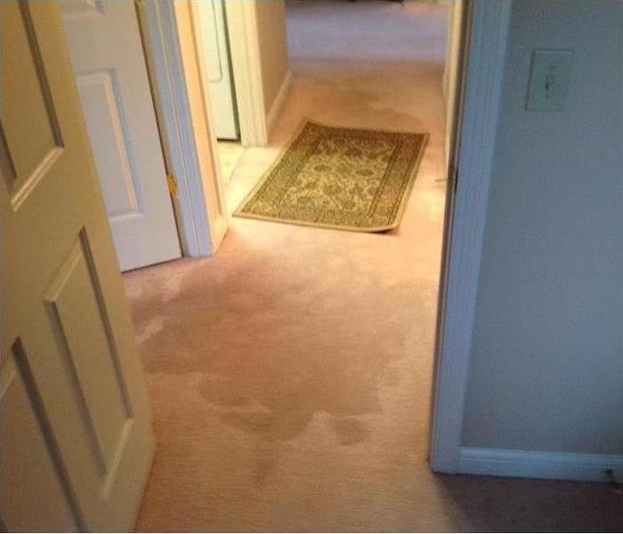 Water Damage from Toilet Leak causing standing water on carpeted areas