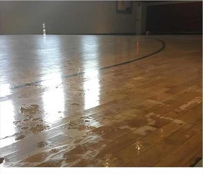 Basketball Court Wet and Cupping