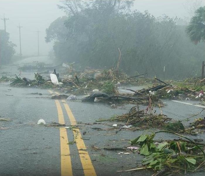 Trees and debris in wet road during a storm